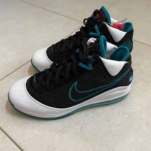 Nike Lebron VII QS